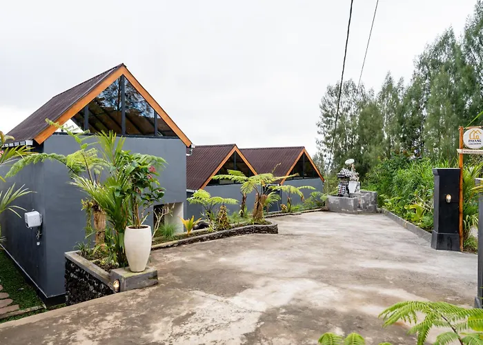 Payang 3* Кинтамани